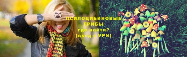 apvp Алексин