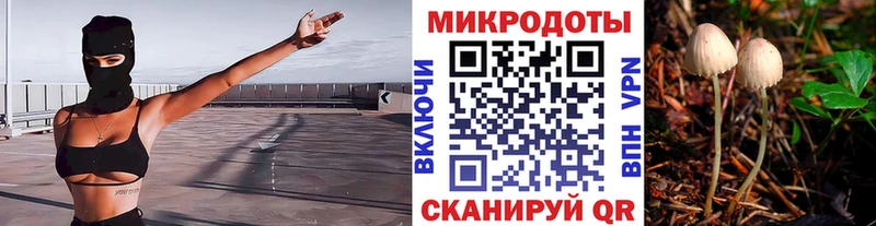 Псилоцибиновые грибы Cubensis  где найти наркотики  Нефтегорск 